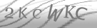 captcha-2